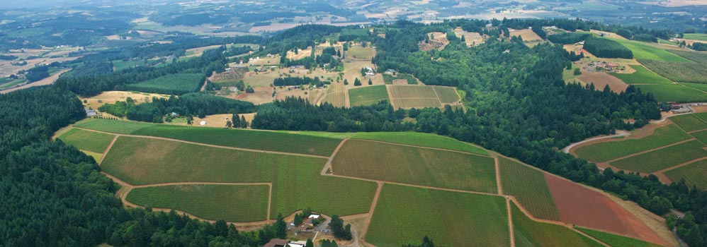 Portland Oregon wine tasting country helicopter tours